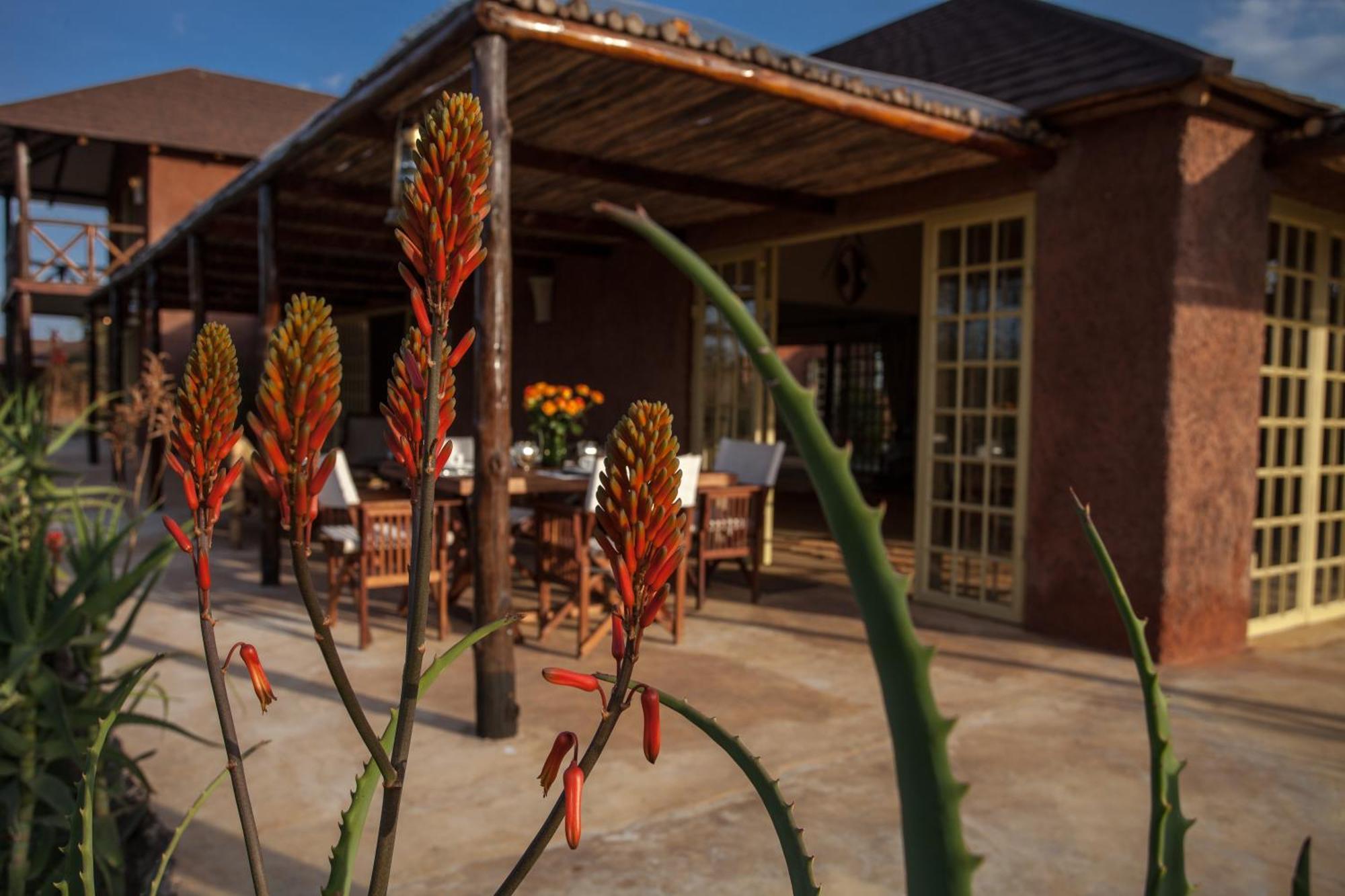 Kili Villa Kilimanjaro Luxury Retreat Arusha Værelse billede